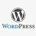 WordPress 2.9.2 Upgrade Security Fix