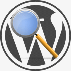 WordPress Security Audit