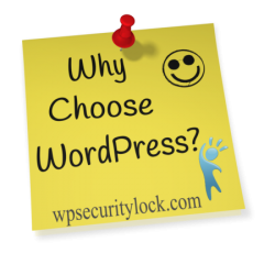 Why Choose WordPress CMS